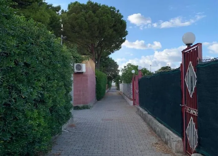 Adele * 坎波菲利斯·迪·罗切